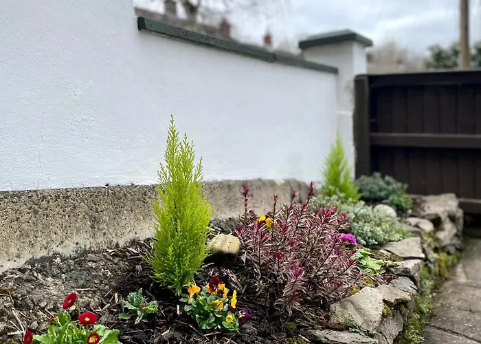 Arlo Townhouse Enniskillen